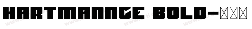 HartmannCE Bold字体转换